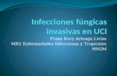 Infecciones fúngicas en uci
