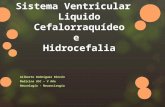 Sistema Ventricular, Liquido Cefalorraquideo LCR, Hidrocefalia