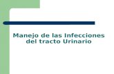 Manejo de las infecciones del tracto urinario