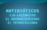 Expo antibioticos