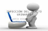 Infecciónes del tracto urinario