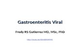 Gastroenteritis Viral (Rotavirus)