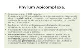Apicomplexa (I parcial)