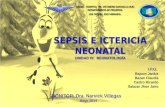 Sepsis e Ictericia Neonatal, PEDIATRIA, NEONATOLOGIA