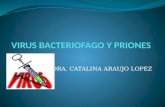 Virus bacteriofago y priones