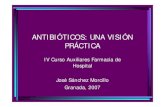 Antibioticos, una visión práctica 2007