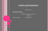 Cefalosporinas farma2