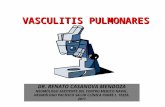 VASCULITIS PULMONARES. DR CASANOVA