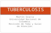 Tuberculosis revisión
