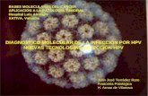 DiagnóStico Molecular De La InfeccióN Por Hpv
