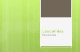 Leucemias 110626185935-phpapp02 (1)