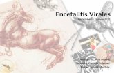 Encefalitis virales