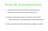Tema%2030%20 actinobacterias