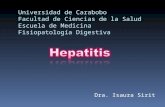 Fisiopatologia: Hepatitis