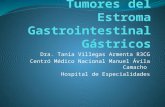 Tumores del Estroma Gastrointestinal