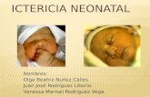 Ictericia neonatal term