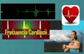 Frecuencia Cardiaca - Pulso