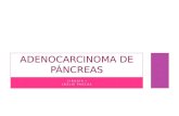 Adenocarcinoma de Páncreas