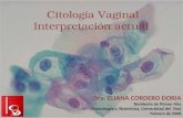 Citología Cervico-Vaginal, Interpretación