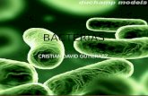 Bacterias 9 c