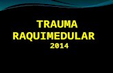 Clase  de trauma raquimedular 2014