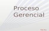 Proceso gerencial ii