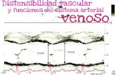 Distensibilidad vascular, arterial y venoso