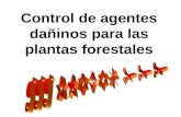 Control de agentes dañinos para las plantas forestales