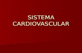Sistema cardiovascular.ppt fleming 5to sec 2010