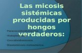 Las micosis sistémicas producidas por hongos verdaderos