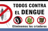 Clases De Dengue 2009
