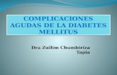 01) dra. chumbiriza   diabetes mellitus ii, complicaciones agudas