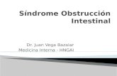 Clase 5 a semiologia obstruccion intestinal