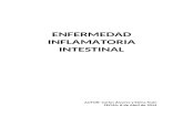 (2014-04-08) Enfermedad Inflamatoria Intestinal (DOC)