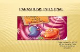 130502 parasitosis intestinal pdf