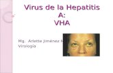 Virus de la Hepatitis A: VHA