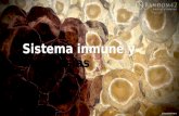 Sistema inmune y neoplasias web