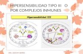 Hipersensibilidad tipo iii   o    por complejos inmunes
