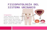 Fisiopatologia sistema urinario 2