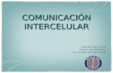 ComunicacióN Intercelular 29 Mayo