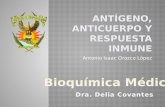 Inmunogliobulinas, Antigeno y Respuesta Inmune