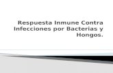 Respuesta Inmune Contra Infecciones por Bacterias y Hongos