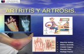 83 - Artritis y artrosis