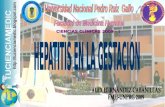 Hepatitis En Gestantes Fmh Unprg Tucienciamedic