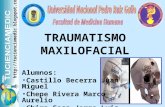 Trauma Maxilofacial Fmh Unprg Tucienciamedic