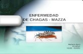 Manifestaciones digestivas enfermedad de Chagas-Mazza