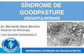 Granulomatosis de Wegener y Síndrome de Good Pasture