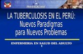 La Tuberculosis en el Perú