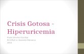 Crisis gotosa - Hiperuricemia