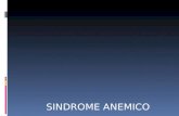 Sindrome  Anemico